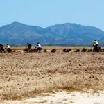 Caminos de tierra por campos perdidos y al fondo las Sierras del Madroño y de Pedro Ponce