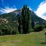 Prado en el Cortijo de la Espinea