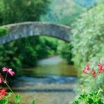 ...con parada previa en Baigorri para disfrutar de la arquitectura, las flores y las aguas...