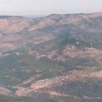 ... el desolador aspecto que dejó el incendio de Moratalla de 1994...